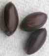 Miracle Fruit Seeds.